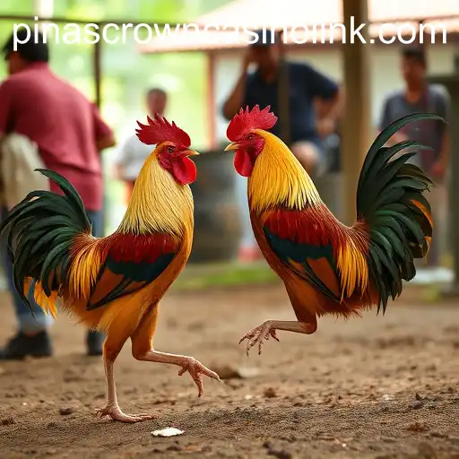 The Rise of Online Sabong and Its Impact on Pinascrown